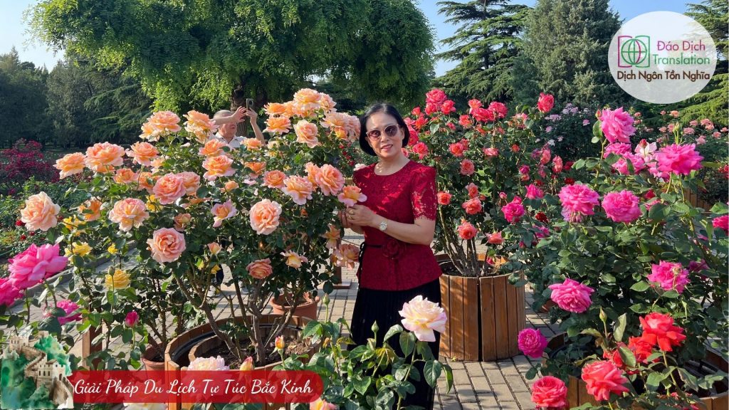 huong dan vien du lich tu tuc tai bac kinh