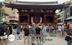 phien dich viet nhat