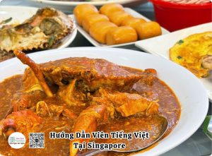 tour guide nguoi viet tai singapore