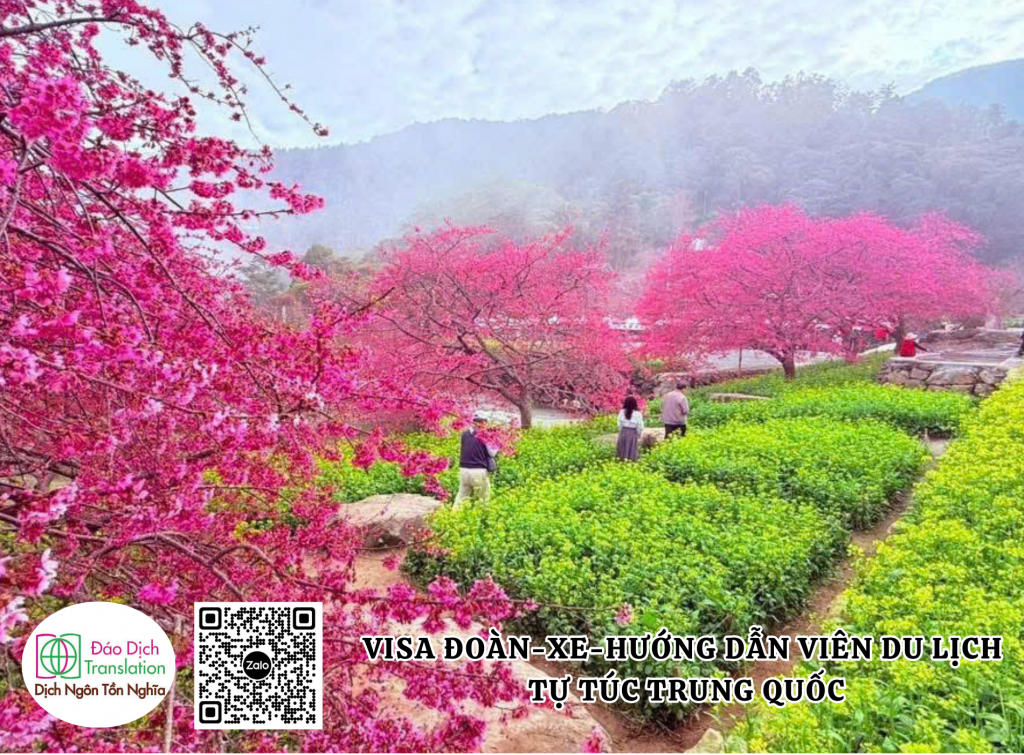 dich vu xe và huong dan vien tu tuc trung quoc