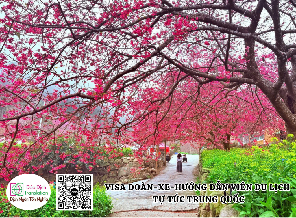 dich-vu-xe-va-huong-dan-vien-du-lich-tu-tuc-trung-quoc