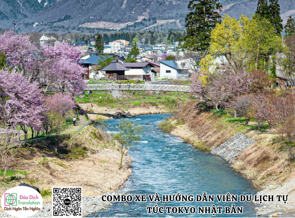 dich-vu-xe-va-huong-dan-vien-tai-nhat-ban-tet-2026