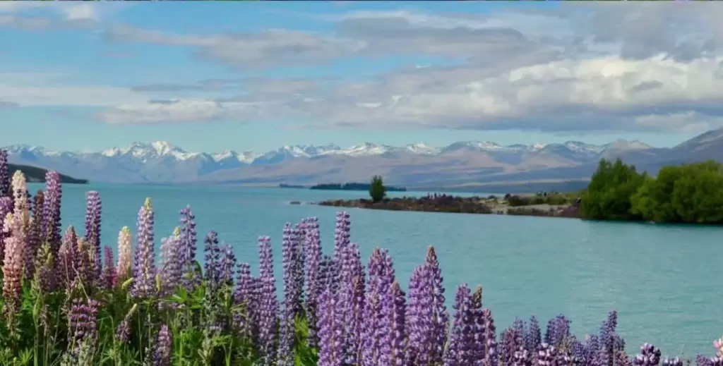 du lich tu tuc land tour new zealand
