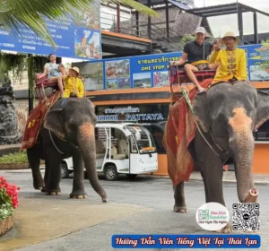 tour guide tieng viet tai bangkok
