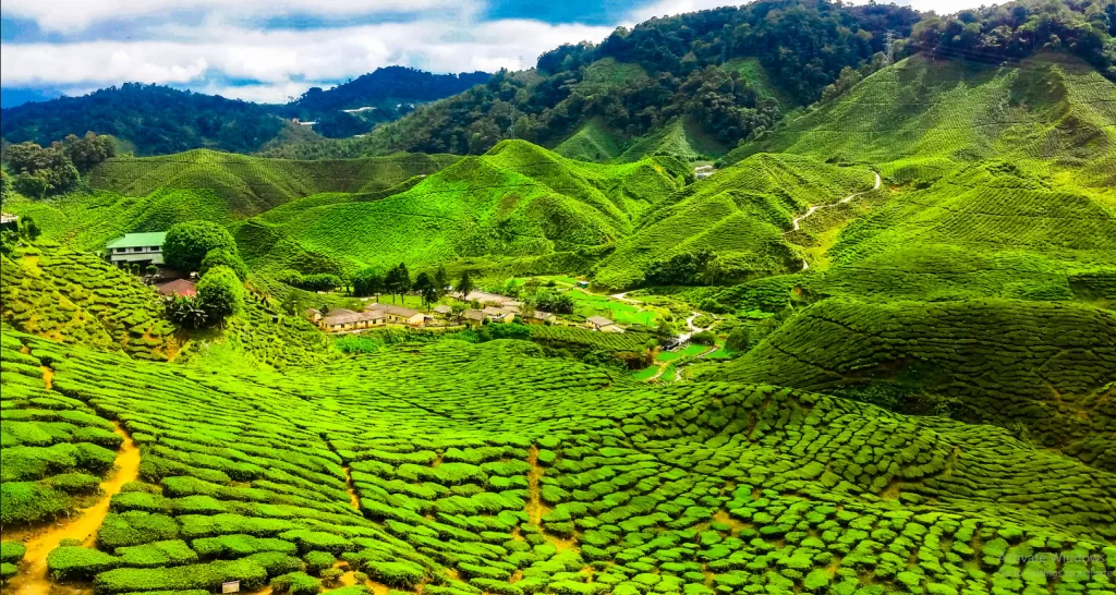 malaysia mua nao dep nhat