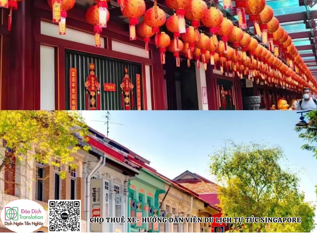 cho thue xe va hương dan vien tu tuc singapore